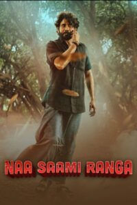 Naa Saami Ranga (2024)